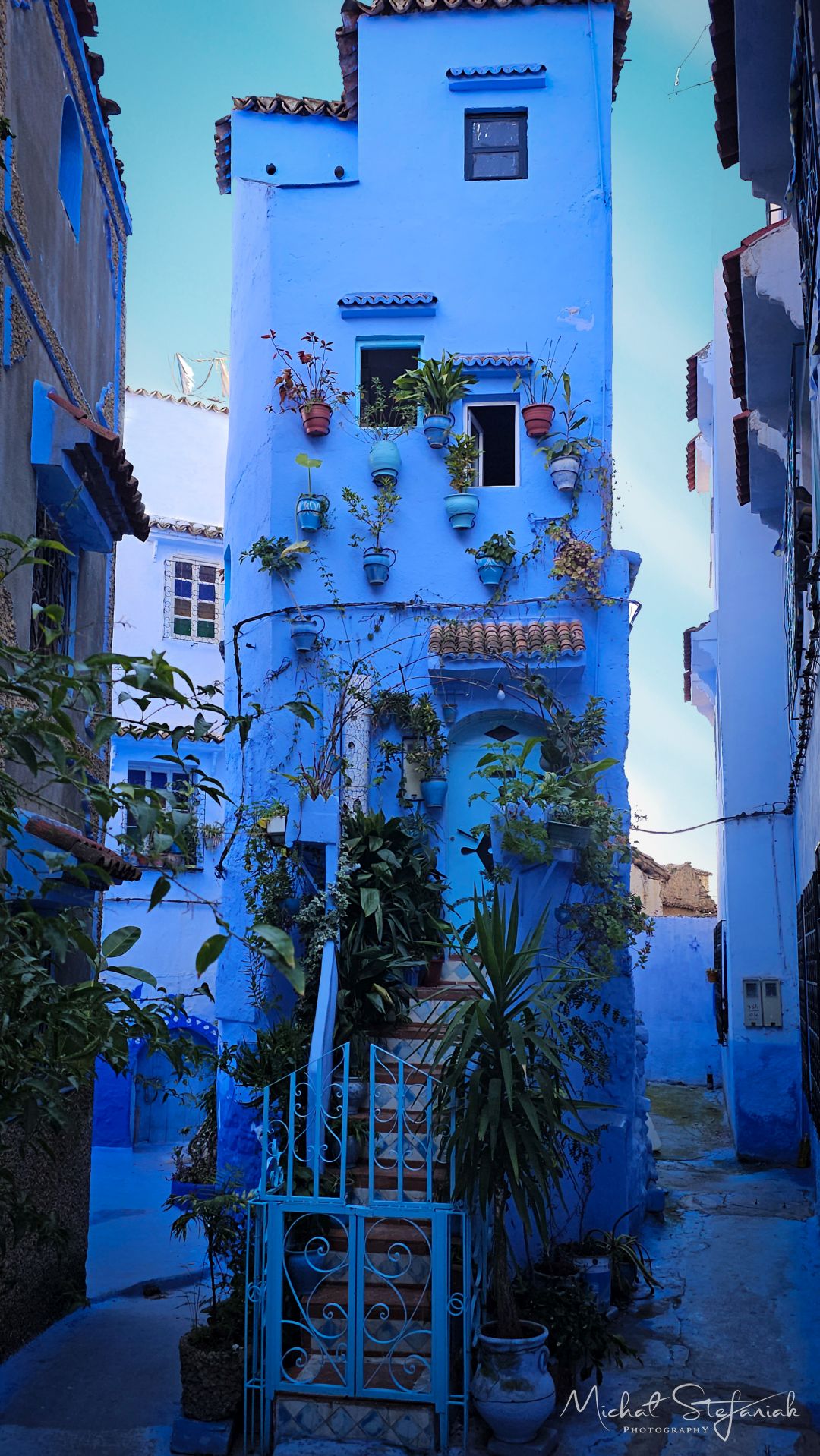 20250213 172639 a 97